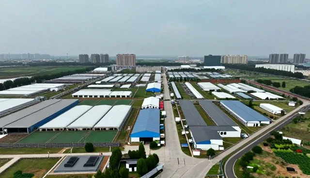 小程序开发中域名解析的应用场景与实际需求